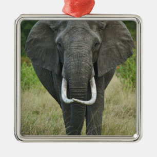 Afrikanischer Elefantloxodonta, Masai Mara Game Ornament Aus Metall