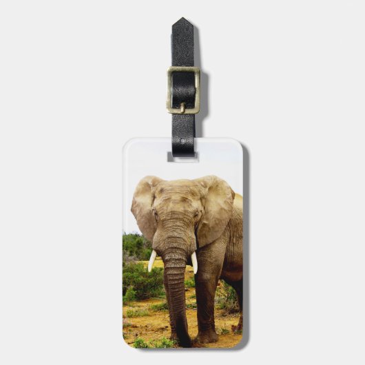 Afrikanischer Elephant Bull Gepäckanhänger (Vorderseite vertikal)