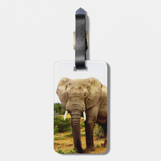 Afrikanischer Elephant Bull Gepäckanhänger (Rückseite vertikal)