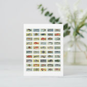 Afrikanischer Fisch Postkarte (Stehend Vorderseite)