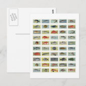 Afrikanischer Fisch Postkarte (Vorne/Hinten)