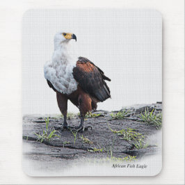 Afrikanischer Fischadler auf weißem Grund Mousepad
