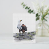 Afrikanischer Fischadler auf weißem Grund Postkarte (Stehend Vorderseite)
