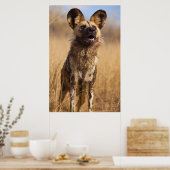 Afrikanischer Gemalter Wildhund Poster (Küche)