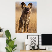 Afrikanischer Gemalter Wildhund Poster (Heimbüro)