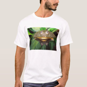 Afrikanischer grabender Ochsenfrosch, Pyxicephalus T-Shirt