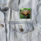 Afrikanischer Grabfrosch, Pyxicephalus 2 Button (Beispiel)
