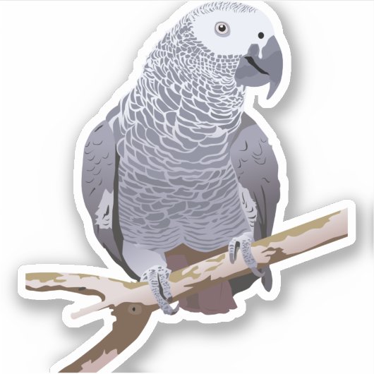 Afrikanischer Grau Aufkleber (Vorderseite)