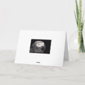 Afrikanischer Grau Dankeskarte (Rückseite)