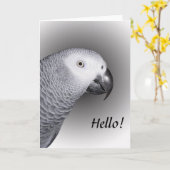 Afrikanischer Grau Karte (Gelbe Blume)