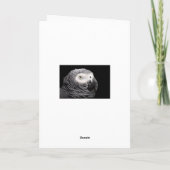 Afrikanischer Grau Karte (Rückseite)