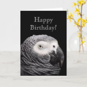 Afrikanischer Grau Karte (Gelbe Blume)