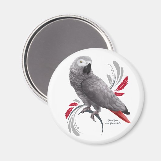 Afrikanischer Grau Magnet (Vorderseite/Rückseite)