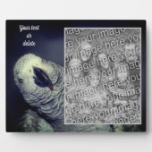 Afrikanischer Grau Papagei - Ihr eigenes Foto Fotoplatte (Vorderseite)