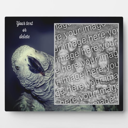 Afrikanischer Grau Papagei - Ihr eigenes Foto Fotoplatte (Vorderseite)