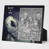 Afrikanischer Grau Papagei - Ihr eigenes Foto Fotoplatte (Seite)