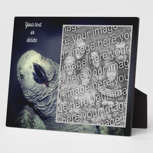 Afrikanischer Grau Papagei - Ihr eigenes Foto Fotoplatte (Seite)