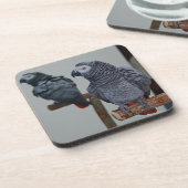 Afrikanischer Grau-Papagei im Kongo in Mirror Getränkeuntersetzer (Linke Seite)