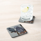 Afrikanischer Grau-Papagei im Kongo in Mirror Getränkeuntersetzer (Rechte Seite)