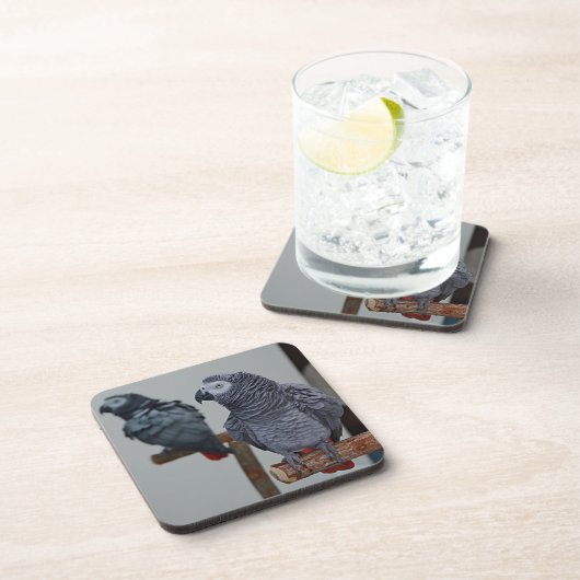 Afrikanischer Grau-Papagei im Kongo in Mirror Getränkeuntersetzer (Rechte Seite)