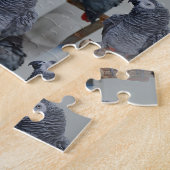 Afrikanischer Grau-Papagei im Kongo in Mirror Puzzle (Seite)