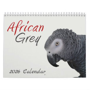 Afrikanischer Grau-Papagei-Kalender 2026 Kalender
