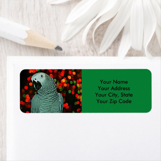 Afrikanischer Grau-Papagei-Malerei mit Weihnachtsb (Insitu)