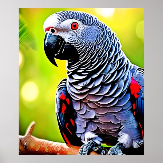 Afrikanischer Grau-Papagei Poster (Vorne)