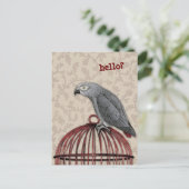 Afrikanischer Grau-Papagei Postkarte (Stehend Vorderseite)