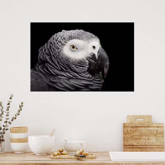 Afrikanischer Grau Poster (Küche)