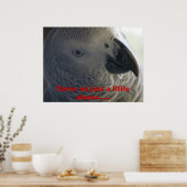 Afrikanischer Grau Poster (Küche)