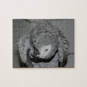 Afrikanischer Grauer Papagei Albern Bird Puzzle (Horizontal)