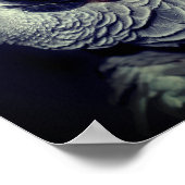 Afrikanischer Grauer Papagei Niedlich Bird Poster (Ecke)