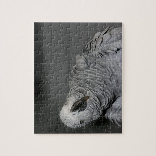 Afrikanischer Grauer Papagei Niedlich Bird Puzzle (Vertikal)