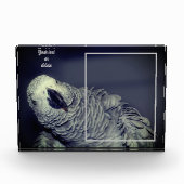 Afrikanischer Grauer Papagei Personalisiert hinzuf Fotoblock (Vorderseite)
