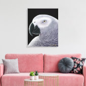 Afrikanischer Grauer Papagei umarmte Lavas Leinwanddruck (Insitu (Wohnzimmer))