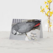 Afrikanischer Graupapagei auf Eiern Karte (Gelbe Blume)