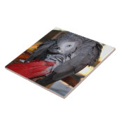 Afrikanischer Graupapagei aus dem flexiblen Kongo Fliese (Seite)