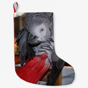 Afrikanischer Graupapagei aus dem flexiblen Kongo Kleiner Weihnachtsstrumpf