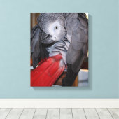 Afrikanischer Graupapagei aus dem flexiblen Kongo Leinwanddruck (Insitu (Holzboden))