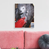 Afrikanischer Graupapagei aus dem flexiblen Kongo Leinwanddruck (Insitu (Wohnzimmer))