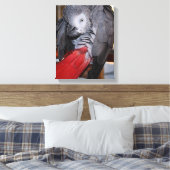 Afrikanischer Graupapagei aus dem flexiblen Kongo Leinwanddruck (Insitu (Schlafzimmer))