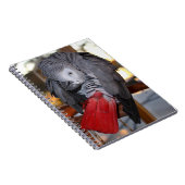 Afrikanischer Graupapagei aus dem flexiblen Kongo  Notizblock (Rechte Seite)