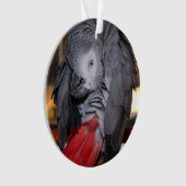 Afrikanischer Graupapagei aus dem flexiblen Kongo  Ornament (Vorderseite)