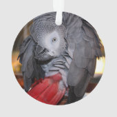 Afrikanischer Graupapagei aus dem flexiblen Kongo  Ornament (Rückseite)