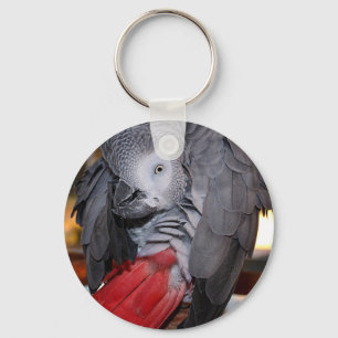 Afrikanischer Graupapagei aus dem flexiblen Kongo  Schlüsselanhänger