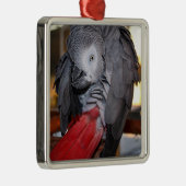 Afrikanischer Graupapagei aus dem flexiblen Kongo  Silbernes Ornament (Rechts)