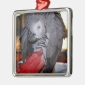 Afrikanischer Graupapagei aus dem flexiblen Kongo  Silbernes Ornament (Links)