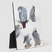 Afrikanischer Graupapagei. Exklusiv von Griff entw Fotoplatte (Seite)