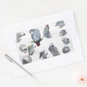 Afrikanischer Graupapagei. Exklusiv von Griff entw Rechteckiger Aufkleber (Umschlag)